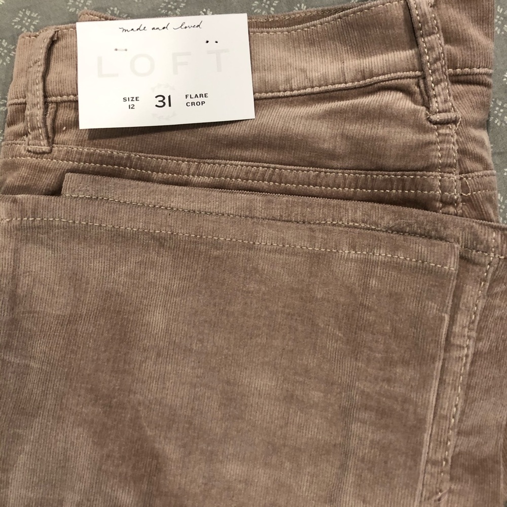 Loft corduroy pants